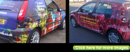 Vehicle wrapping